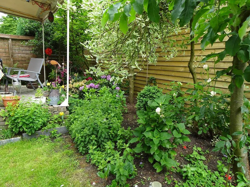 Xaviera'S Bed And Breakfast Amsterdam Bed & Breakfast
