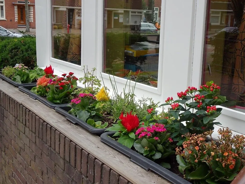 Bed & Breakfast Xaviera'S Bed And Breakfast Amsterdam