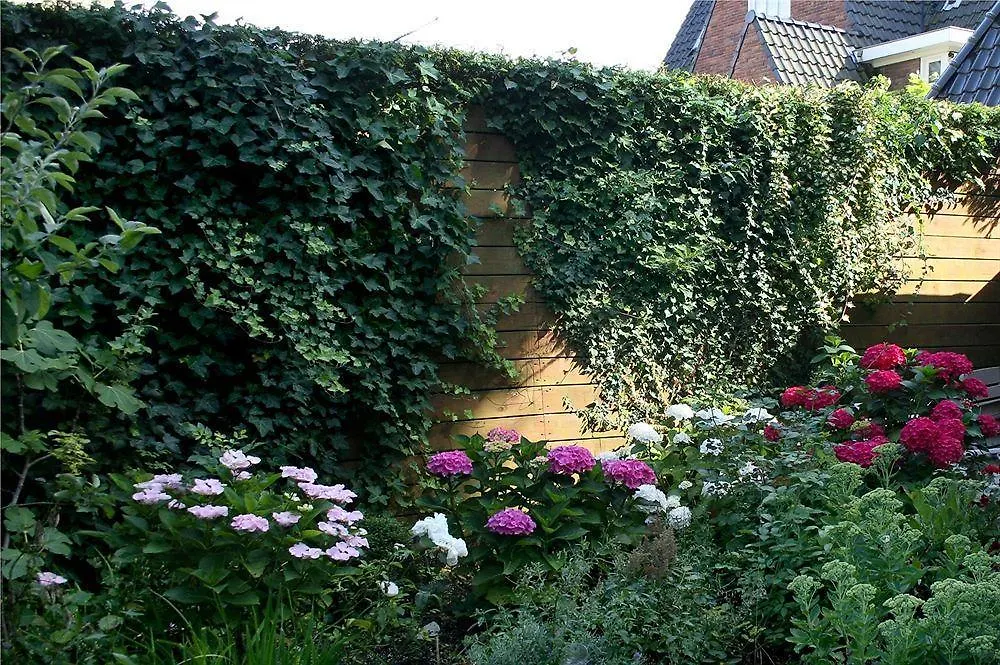 Xaviera'S Bed And Breakfast Amsterdam 2*,  Nederland