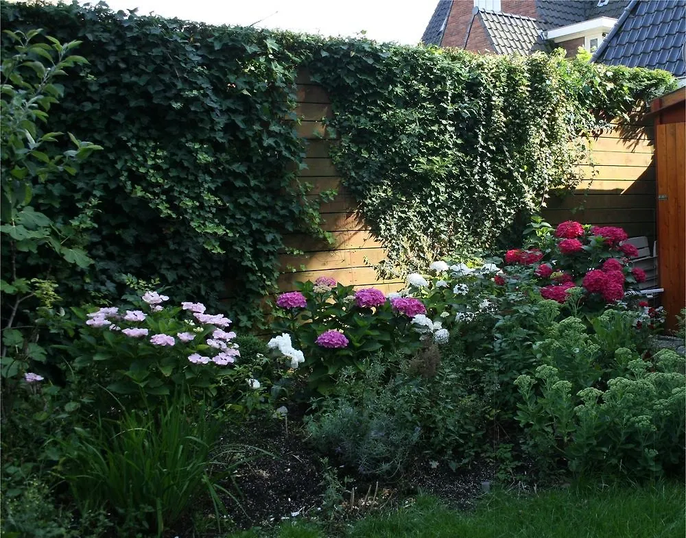Xaviera'S Bed And Breakfast Amsterdam Couette-café