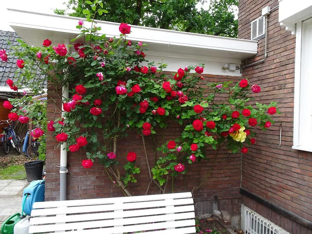 Xaviera'S Bed And Breakfast Amsterdam
