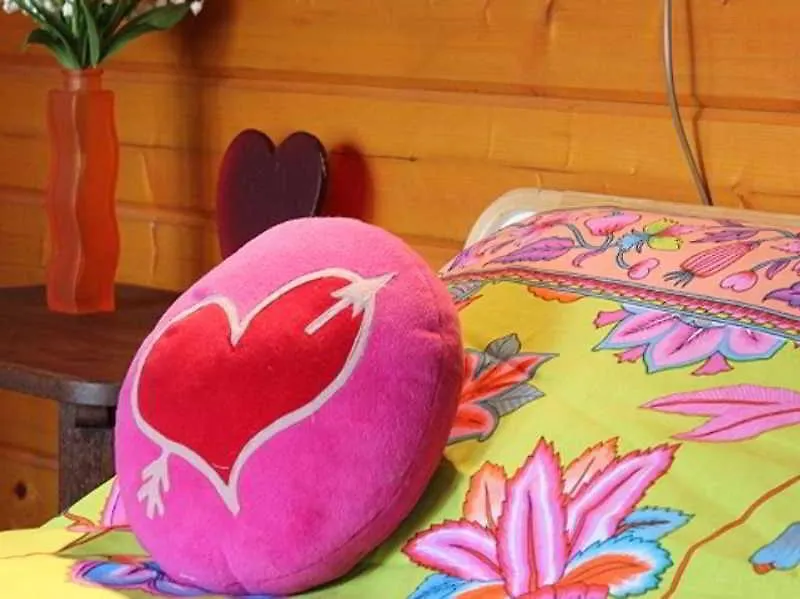 Xaviera'S Bed And Breakfast Amsterdam 2*,